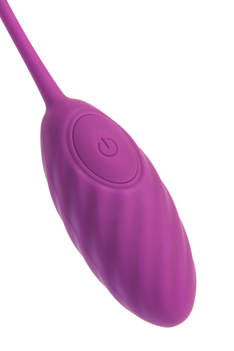 картинка Виброяйцо A-Toys Purr, силикон, фиолетовый, 18 см от магазина ErosMania