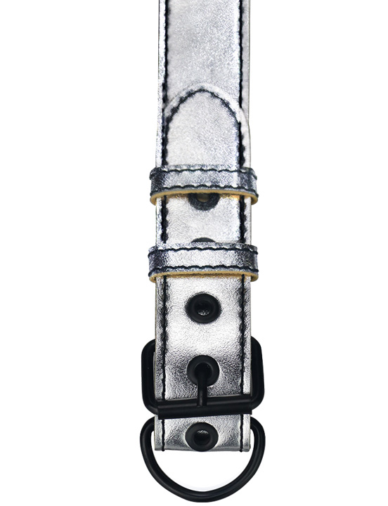 картинка Ошейник с цепью Metallic Pup Collar, серебристый от магазина ErosMania